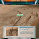 Image for article titled Stop What You're Doing and Explore Mars Right Now